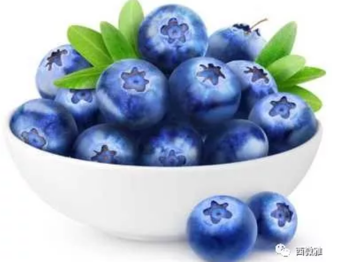 珍贵的果脯-蓝莓干(图4)
