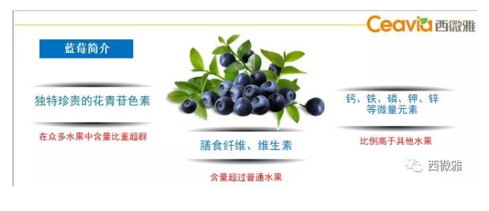 珍贵的果脯-蓝莓干(图9)