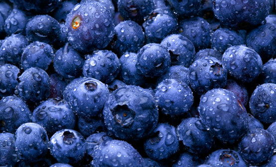 蓝莓干生产厂家—西微雅铸造匠心蓝莓干(图1)